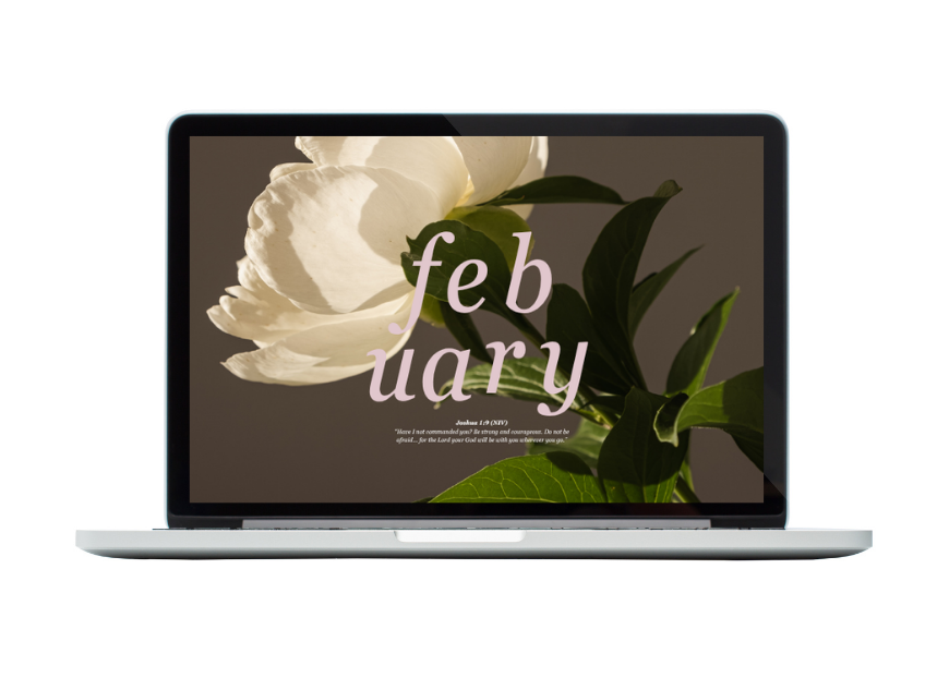 February 2025 Wallpapers